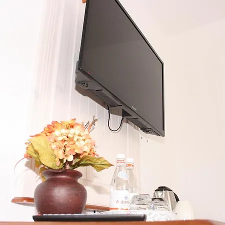 Vesa 2* 辛德尔芬根